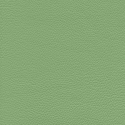 GINKGO ( 35 coloris )
