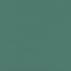 GINKGO ( 35 coloris )