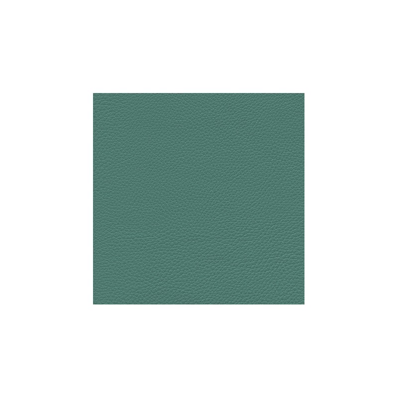 GINKGO ( 35 coloris )