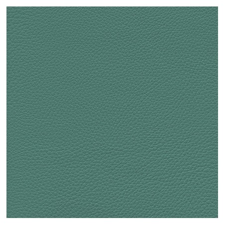 GINKGO ( 35 coloris )