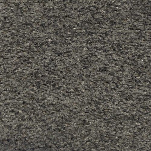 CAVALLI ( 25 coloris )