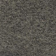 CAVALLI ( 25 coloris )