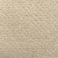 CAVALLI ( 25 coloris )