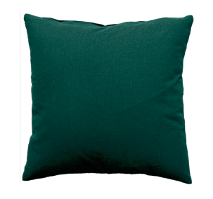 grand coussin canapé vert 60x60